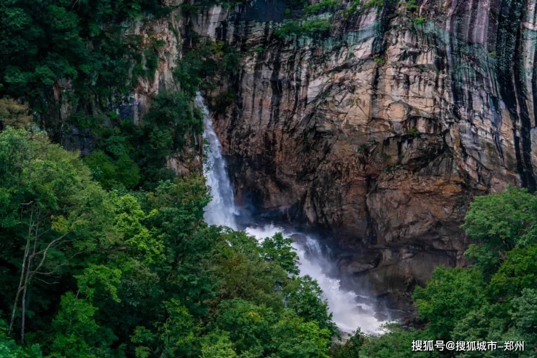学专业去什么学校?-专业的知识问答网页